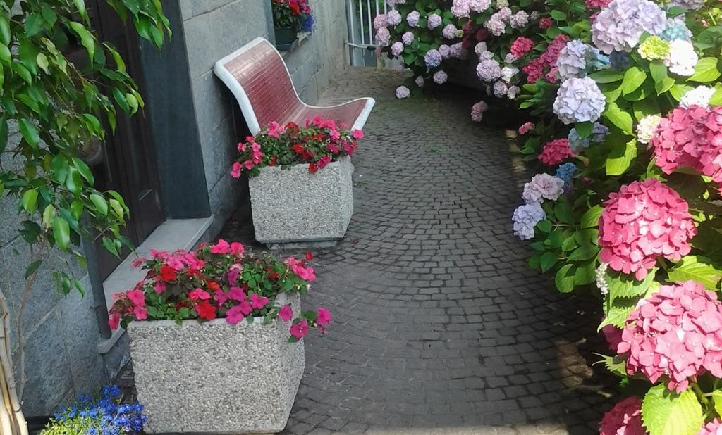 Casa Delle Ortensie Bed & Breakfast Alpignano Dış mekan fotoğraf